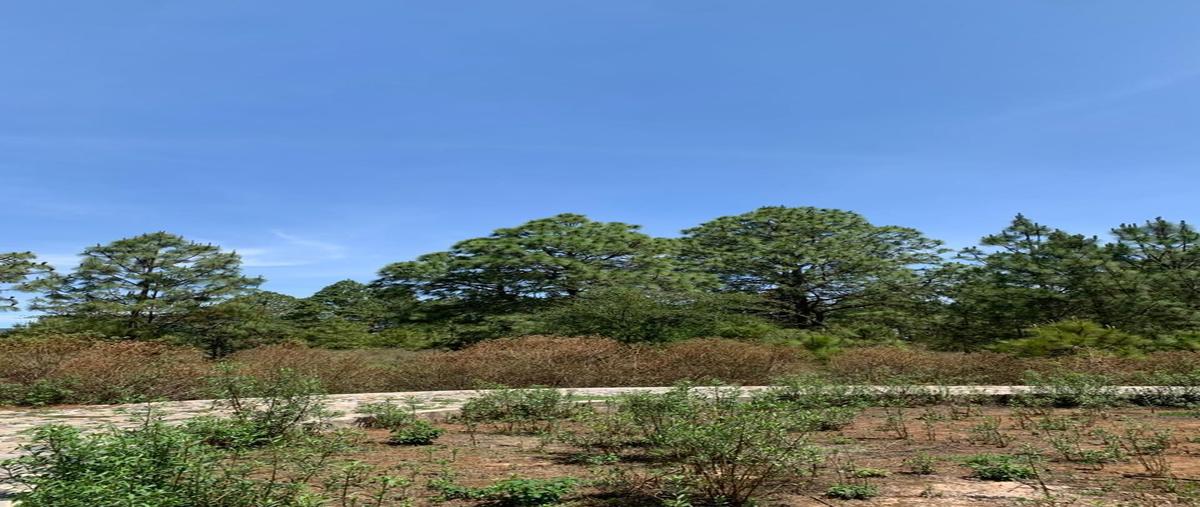 Foto de terreno habitacional en venta en real de los encinos , los espinos, tapalpa, jalisco, 0 No. 05