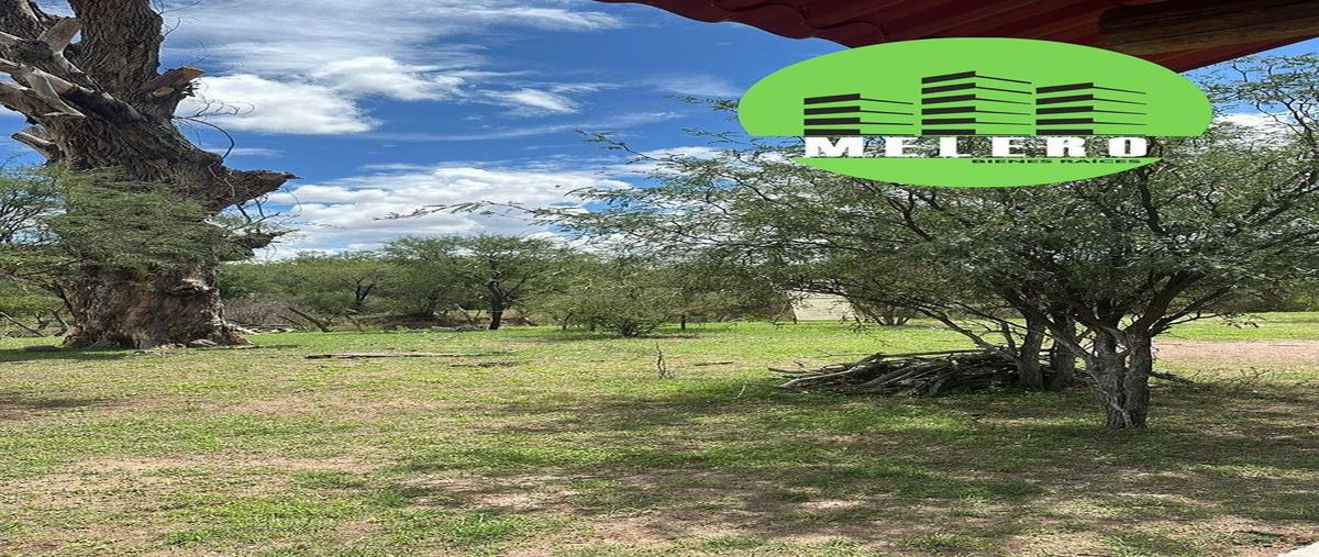 Foto de terreno habitacional en venta en real de nombre de dios , nombre de dios centro, nombre de dios, durango, 29458821 No. 04