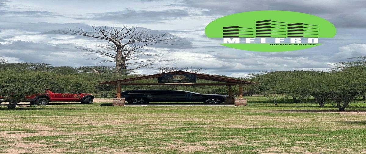 Foto de terreno habitacional en venta en real de nombre de dios , nombre de dios centro, nombre de dios, durango, 29458821 No. 05