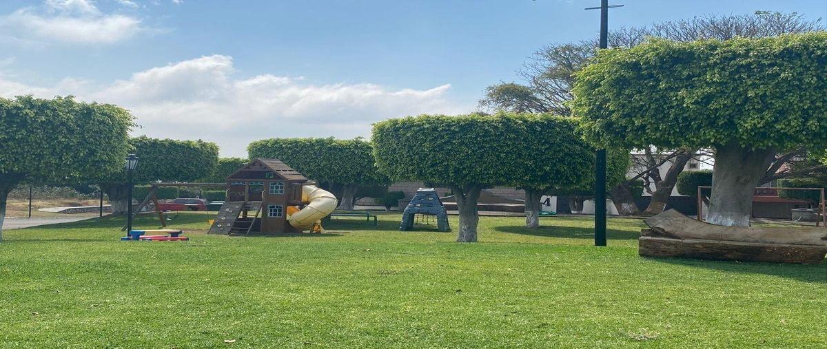 Foto de terreno habitacional en venta en  , real de tetela, cuernavaca, morelos, 0 No. 03