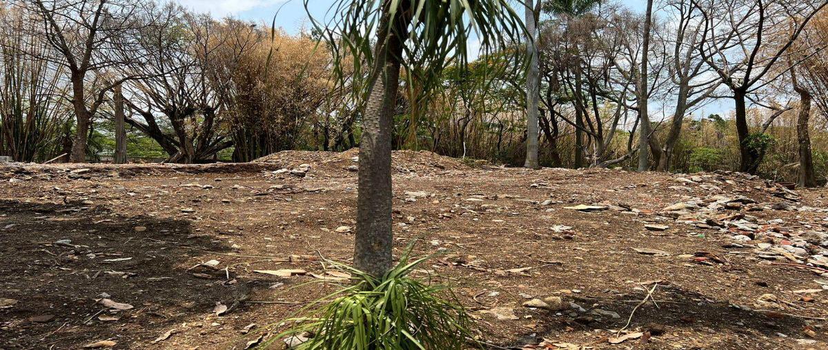 Foto de terreno habitacional en venta en  , real de tetela, cuernavaca, morelos, 0 No. 04