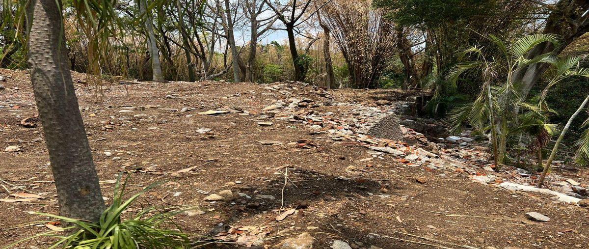 Foto de terreno habitacional en venta en  , real de tetela, cuernavaca, morelos, 0 No. 05