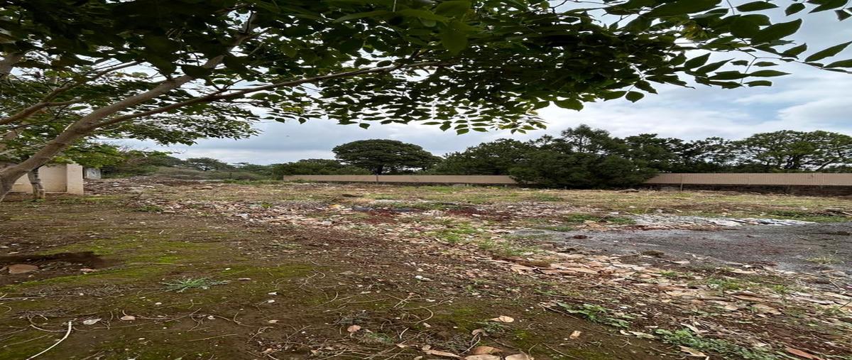 Foto de terreno habitacional en venta en  , real de tetela, cuernavaca, morelos, 0 No. 03