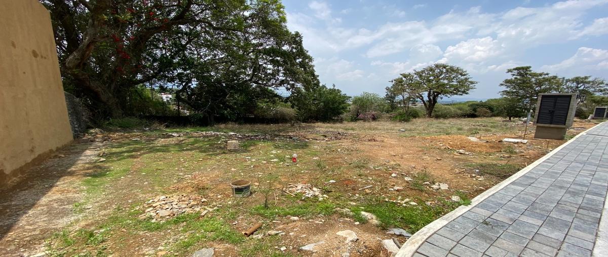 Foto de terreno habitacional en venta en  , real de tetela, cuernavaca, morelos, 0 No. 04