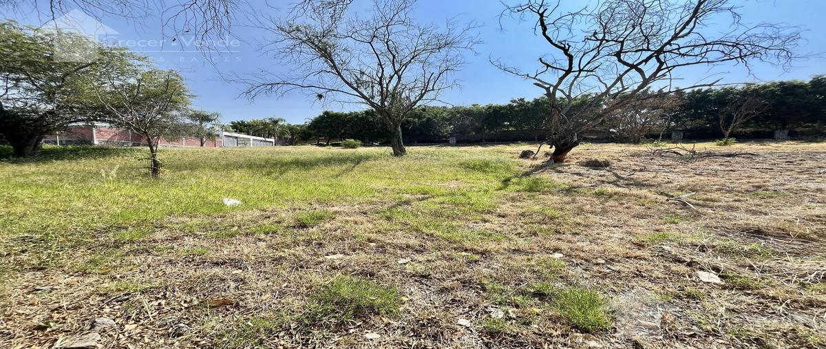 Foto de terreno habitacional en venta en  , real de tezoyuca, emiliano zapata, morelos, 0 No. 04