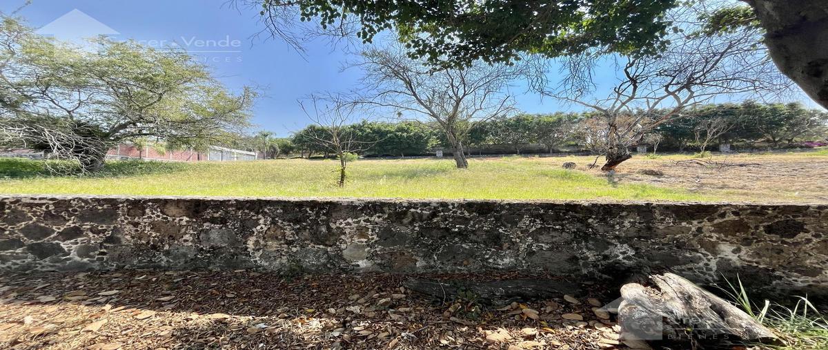 Foto de terreno habitacional en venta en  , real de tezoyuca, emiliano zapata, morelos, 0 No. 05