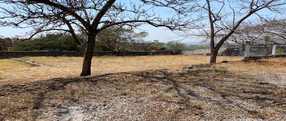 Foto de terreno habitacional en real de tezoyuca , real de tezoyuca, emiliano zapata, morelos, 19866422 foto 03 Foto de terreno habitacional en venta en real de tezoyuca , real de tezoyuca, emiliano zapata, morelos, 19866422 No. 03