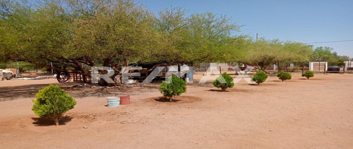 Foto de terreno comercial en , real del alamito, hermosillo, sonora, 0 foto 04 Foto de terreno comercial en venta en , real del alamito, hermosillo, sonora, 0 No. 04