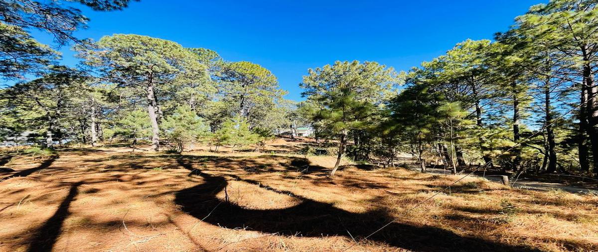 Foto de terreno habitacional en venta en real del bosque , mazamitla, mazamitla, jalisco, 0 No. 03