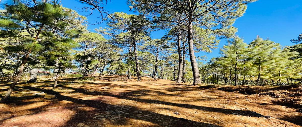 Foto de terreno habitacional en venta en real del bosque , mazamitla, mazamitla, jalisco, 0 No. 04