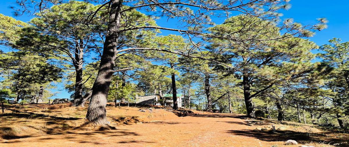 Foto de terreno habitacional en venta en real del bosque , mazamitla, mazamitla, jalisco, 0 No. 05