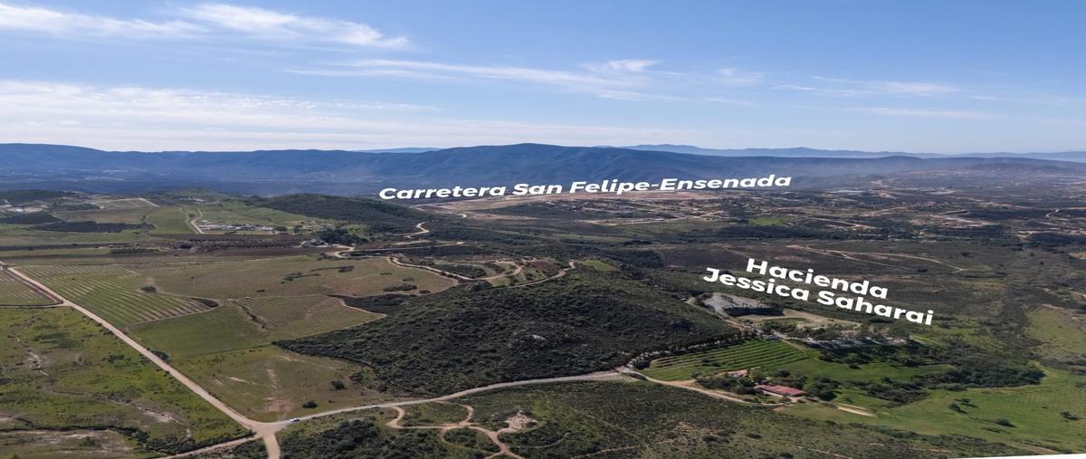 Foto de rancho en venta en  , real del castillo nuevo (ojos negros), ensenada, baja california, 0 No. 03