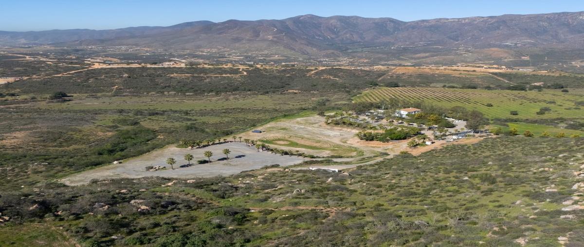 Foto de rancho en venta en  , real del castillo nuevo (ojos negros), ensenada, baja california, 0 No. 05