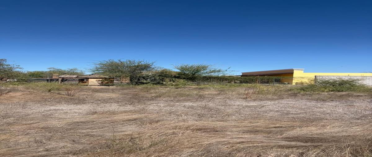 Foto de terreno habitacional en venta en  , real del catorce, hermosillo, sonora, 0 No. 04