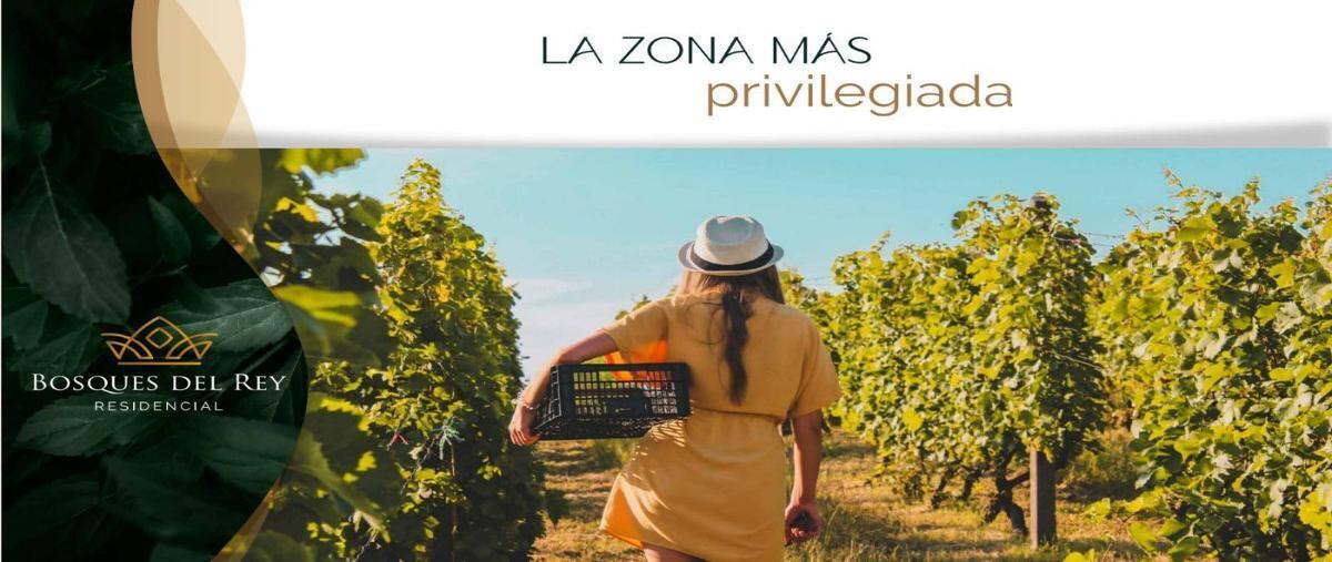 Foto de terreno habitacional en venta en . , real del ciervo, tequisquiapan, querétaro, 27267290 No. 04