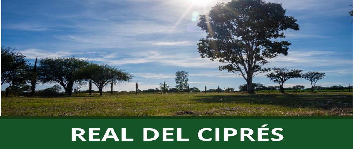 Foto de terreno habitacional en venta en real del cipres 1, salto de los salados, aguascalientes, aguascalientes, 0 No. 04