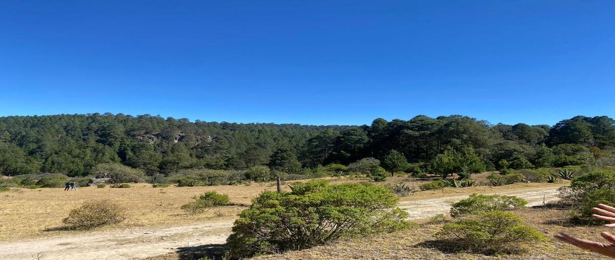 Foto de terreno habitacional en venta en real del monte , santa rosalía, mineral del monte, hidalgo, 0 No. 04
