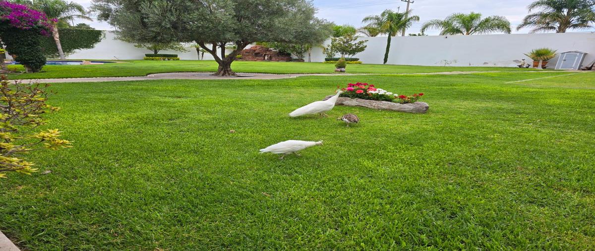 Foto de casa en venta en  , real del potosí, cerro de san pedro, san luis potosí, 0 No. 04