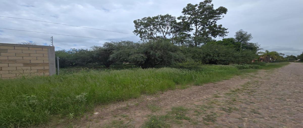 Foto de terreno habitacional en venta en  , real del potosí, cerro de san pedro, san luis potosí, 30229499 No. 03