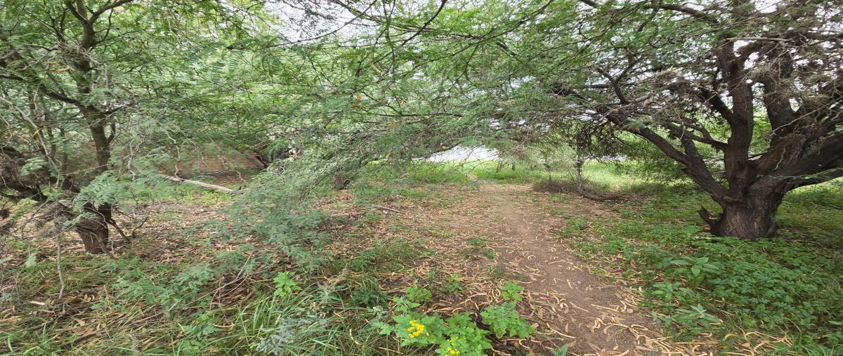 Foto de terreno habitacional en venta en  , real del potosí, cerro de san pedro, san luis potosí, 30229499 No. 04