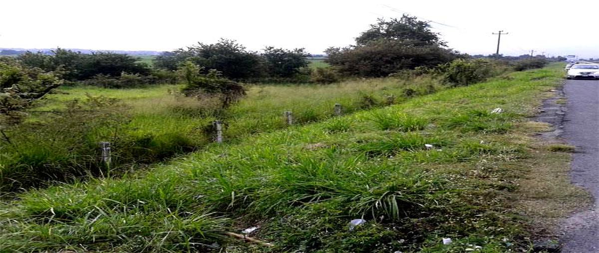 Foto de terreno habitacional en venta en  , real del puente, xochitepec, morelos, 21067225 No. 03