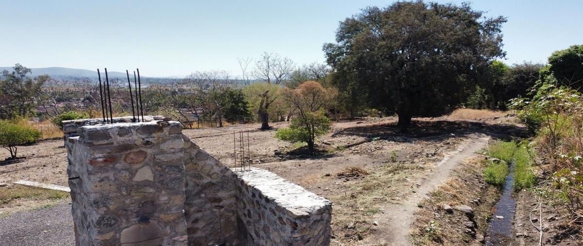 Foto de terreno habitacional en venta en  , real del puente, xochitepec, morelos, 24501175 No. 03