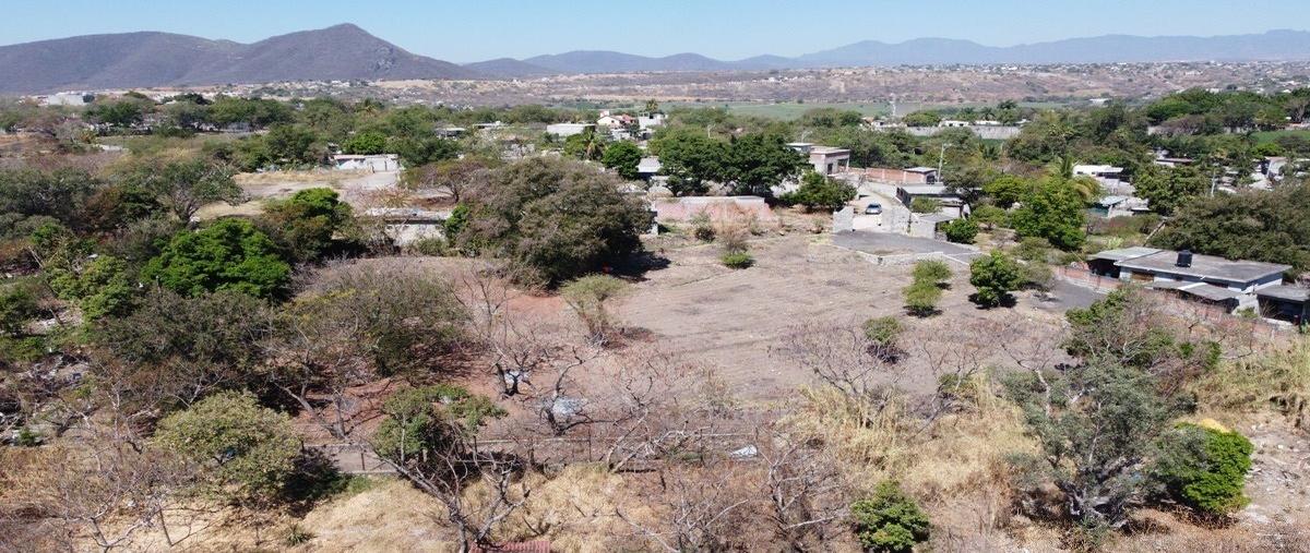 Foto de terreno habitacional en venta en  , real del puente, xochitepec, morelos, 24501175 No. 04