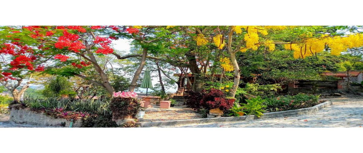 Foto de casa en renta en  , real del puente, xochitepec, morelos, 0 No. 04