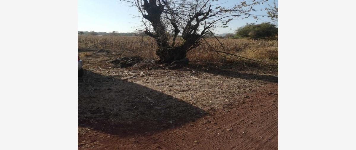 Foto de terreno habitacional en venta en  , real del puente, xochitepec, morelos, 0 No. 04