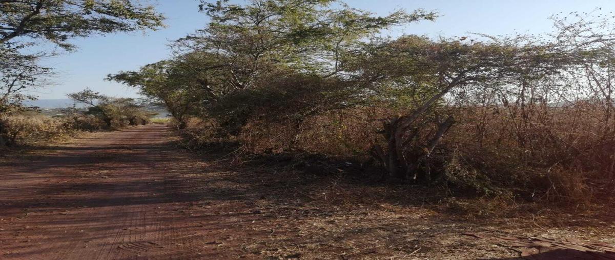 Foto de terreno habitacional en venta en  , real del puente, xochitepec, morelos, 0 No. 05