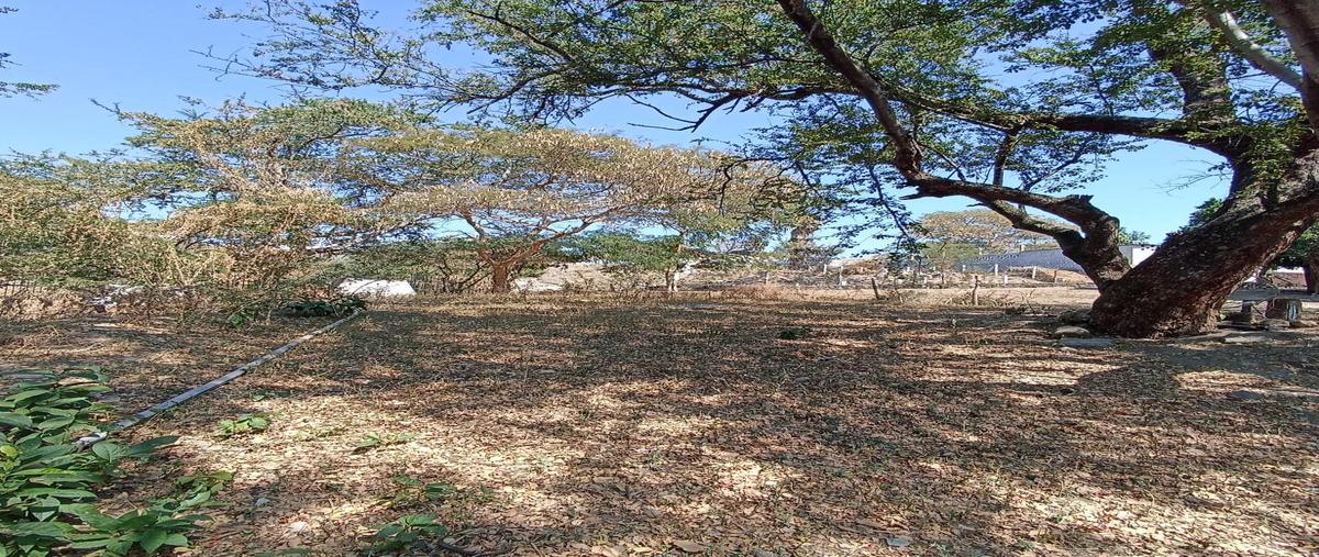 Foto de terreno habitacional en , real del puente, xochitepec, morelos, 0 foto 01 Foto de terreno habitacional en venta en , real del puente, xochitepec, morelos, 0 No. 01