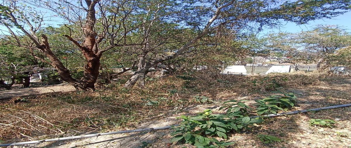 Foto de terreno habitacional en , real del puente, xochitepec, morelos, 0 foto 02 Foto de terreno habitacional en venta en , real del puente, xochitepec, morelos, 0 No. 02