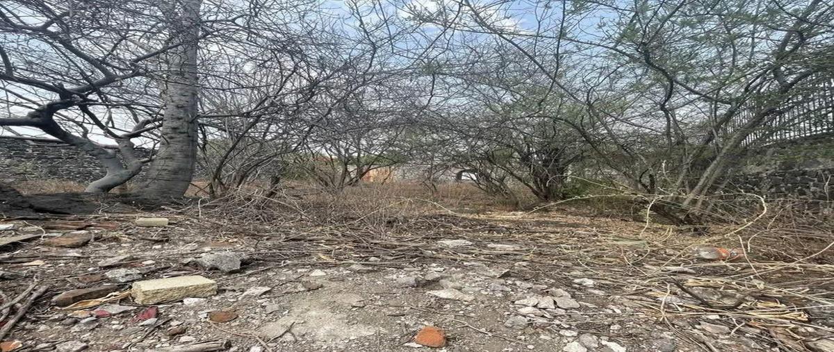 Foto de terreno habitacional en venta en  , real del puente, xochitepec, morelos, 30355351 No. 01