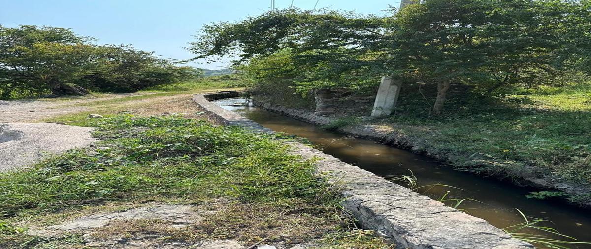 Foto de terreno habitacional en venta en  , real del puente, xochitepec, morelos, 0 No. 03