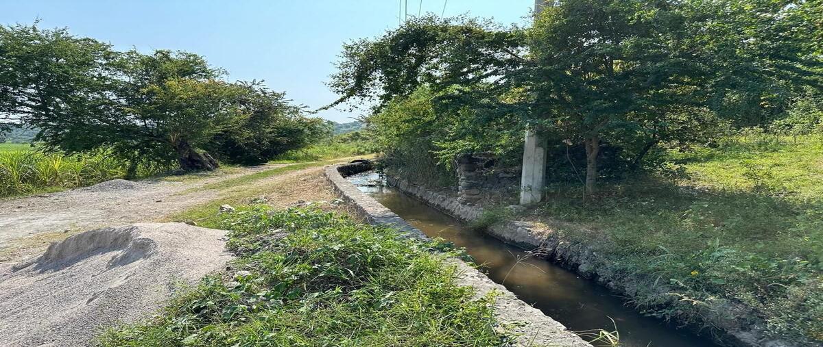 Foto de terreno habitacional en venta en  , real del puente, xochitepec, morelos, 30405153 No. 05