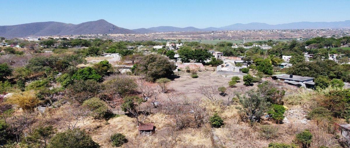 Foto de terreno habitacional en venta en  , real del puente, xochitepec, morelos, 30932644 No. 05