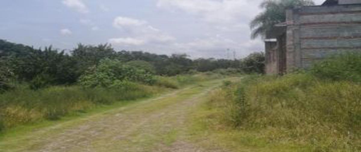 Foto de terreno habitacional en venta en real del puente, xochitepec, morelos , real del puente, xochitepec, morelos, 0 No. 05