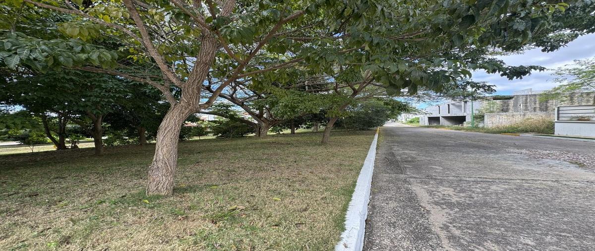 Foto de terreno habitacional en venta en  , real del sur, centro, tabasco, 30330208 No. 04