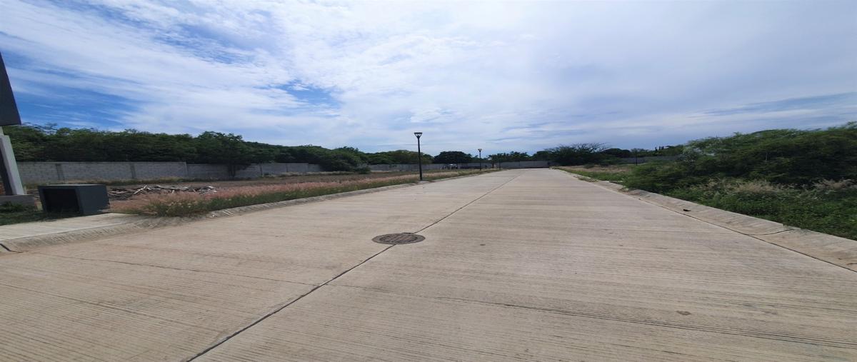 Foto de terreno habitacional en venta en  , real del valle, mazatlán, sinaloa, 0 No. 05