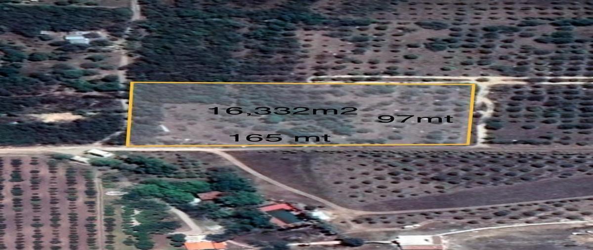 Foto de terreno habitacional en venta en . , real del valle, montemorelos, nuevo león, 0 No. 04