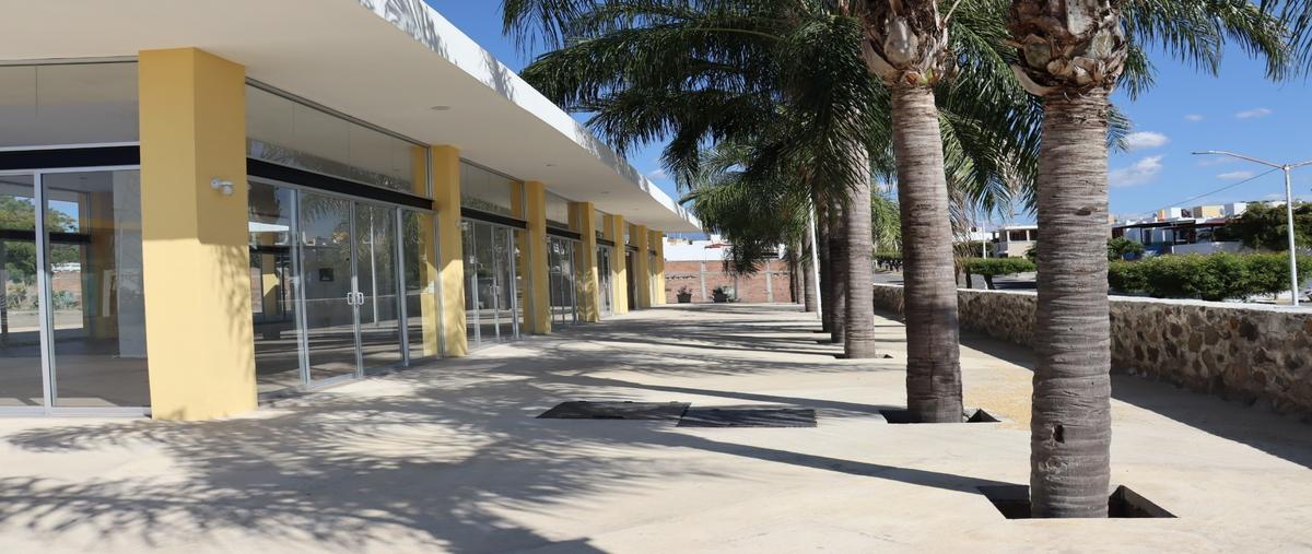 Foto de local en renta en  , real hacienda, villa de álvarez, colima, 30244076 No. 05