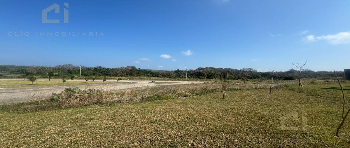 Foto de terreno habitacional en venta en  , real mandinga, alvarado, veracruz de ignacio de la llave, 0 No. 05