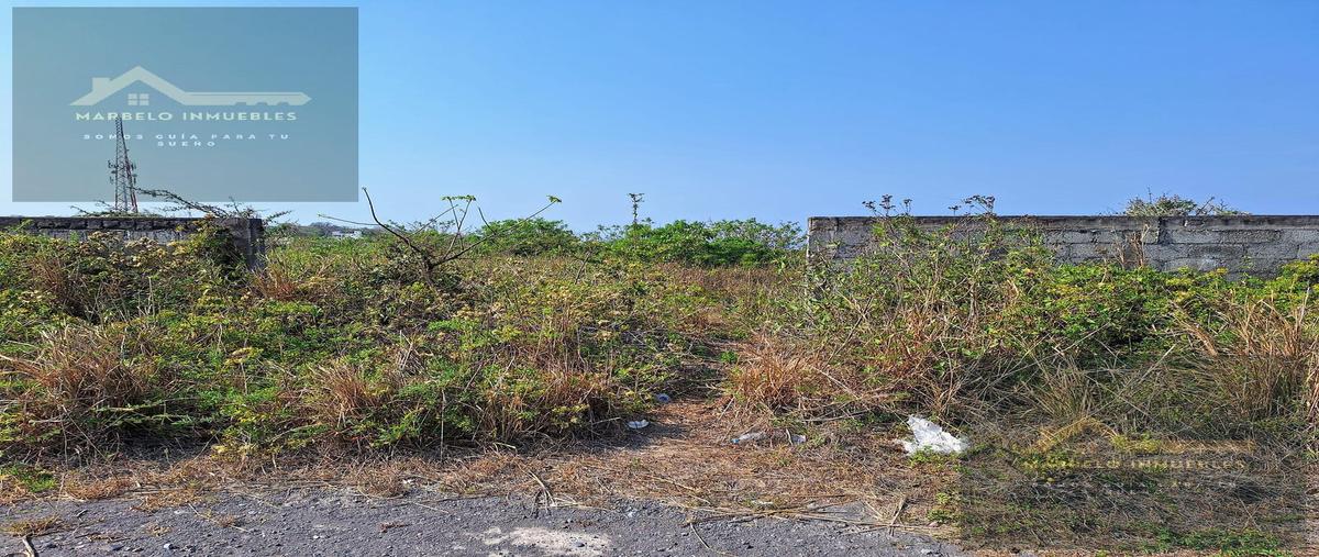 Foto de terreno habitacional en venta en  , real mandinga, alvarado, veracruz de ignacio de la llave, 30216614 No. 03