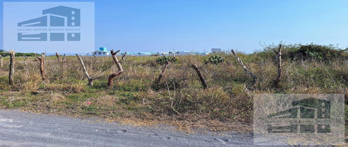 Foto de terreno habitacional en venta en  , real mandinga, alvarado, veracruz de ignacio de la llave, 0 No. 05