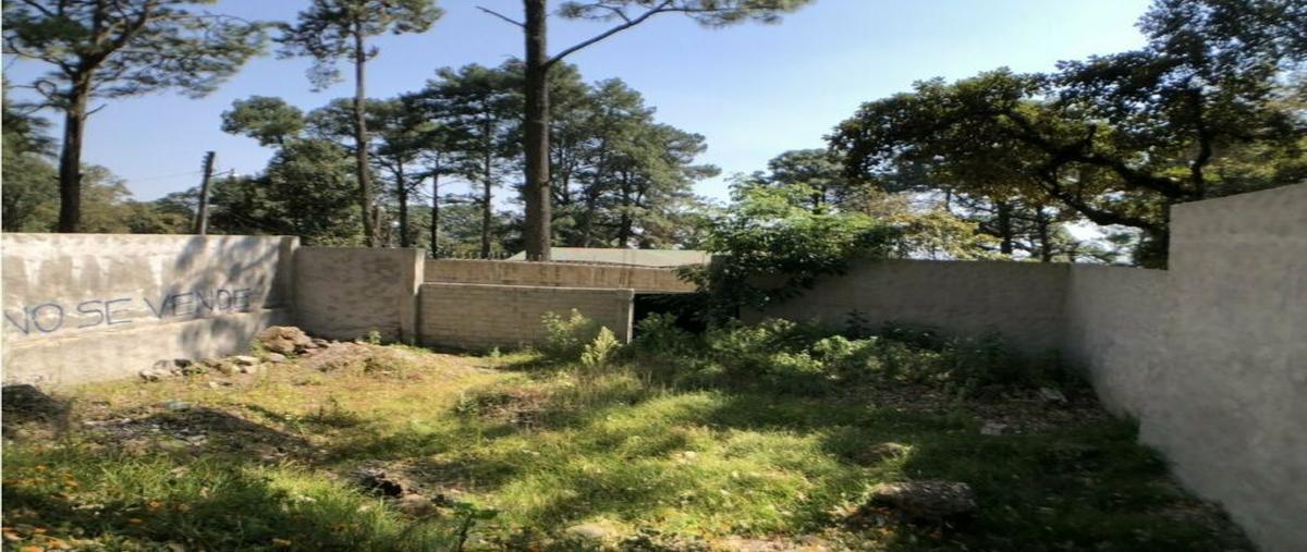 Foto de terreno habitacional en venta en  , real monte casino, huitzilac, morelos, 19630090 No. 04