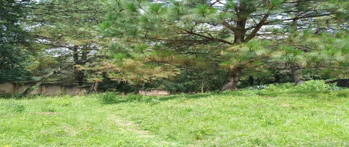 Foto de terreno habitacional en venta en real monte casino, huitzilac, morelos , real monte casino, huitzilac, morelos, 0 No. 03