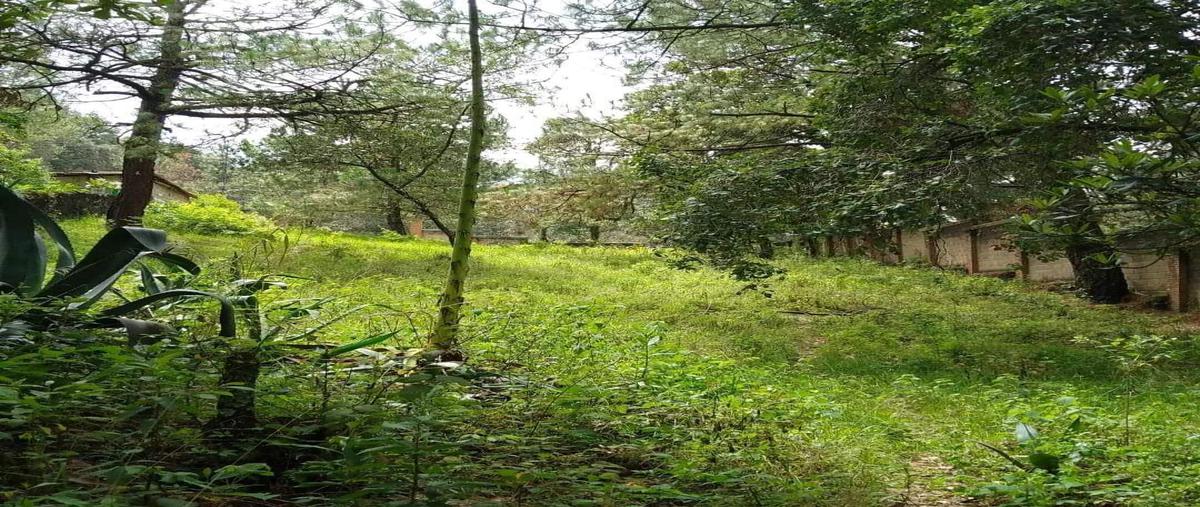 Foto de terreno habitacional en venta en real monte casino, huitzilac, morelos , real monte casino, huitzilac, morelos, 0 No. 04