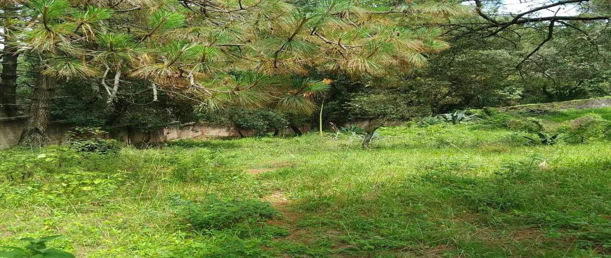 Foto de terreno habitacional en venta en real monte casino, huitzilac, morelos , real monte casino, huitzilac, morelos, 0 No. 05