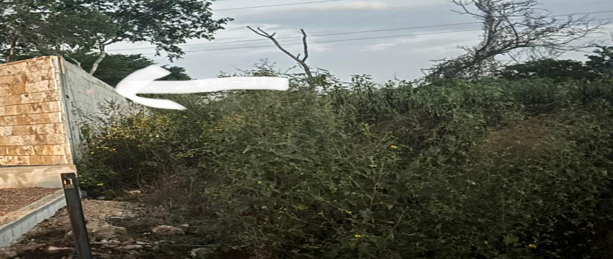 Foto de terreno habitacional en venta en  , real montejo, mérida, yucatán, 0 No. 03