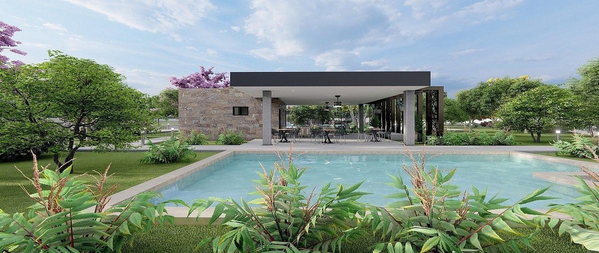 Foto de terreno habitacional en venta en  , real montejo, mérida, yucatán, 0 No. 03